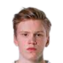斯塔尔南