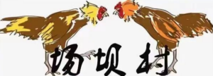 主队
