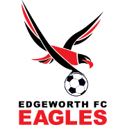 主队